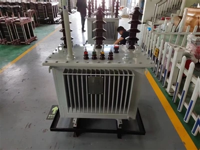 Afrískur viðskiptavinur heimsækir Henan Fengyuan Transformer Factory