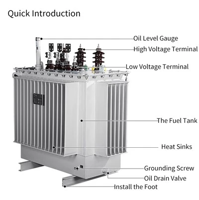 H61 3 fasa olíuspennir 11kv/380v